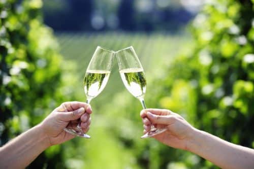Zwei Hände mit jeweils einem Glas Sekt in der Hand stoßen im Weingarten an.