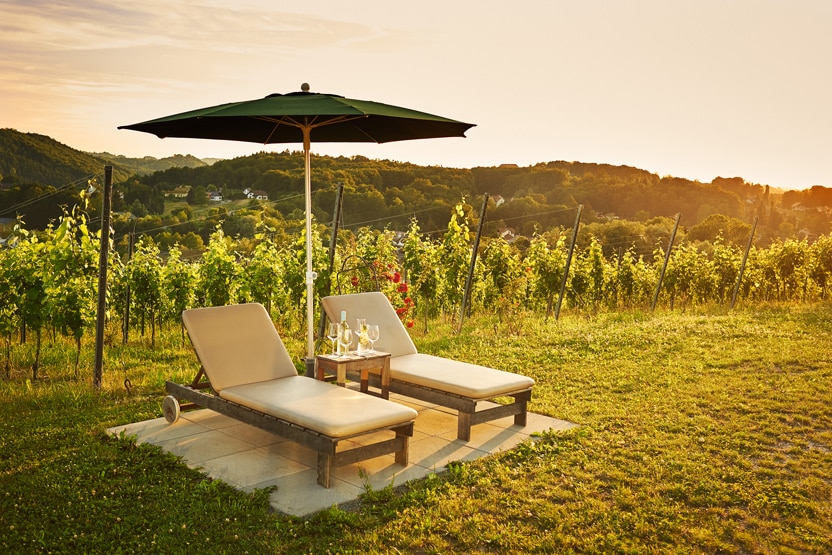Zwei Liegestühle im Weingarten bei Abendstimmung