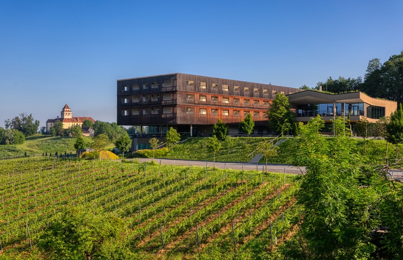 Hotel Südsteiermark umgeben von Weingärten