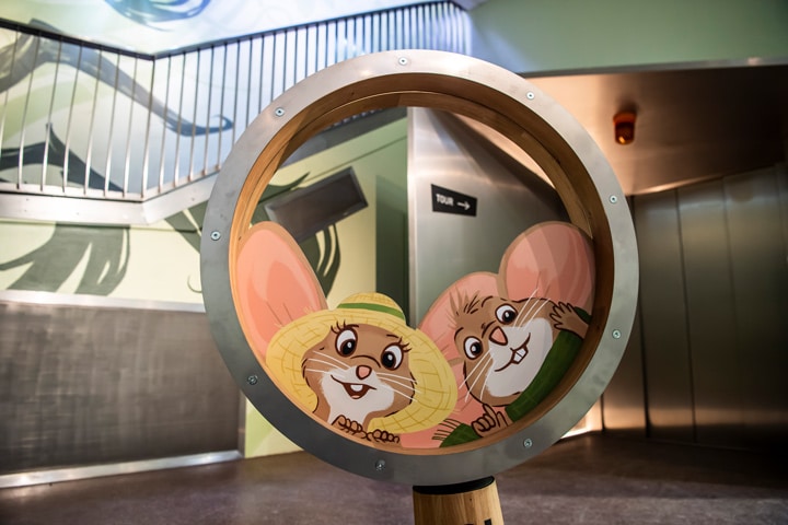 Life-size magnifying glass with two mice