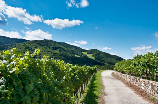route des vins
