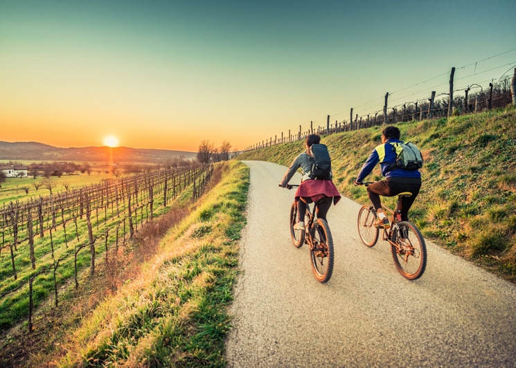Couple cycling in vineyards