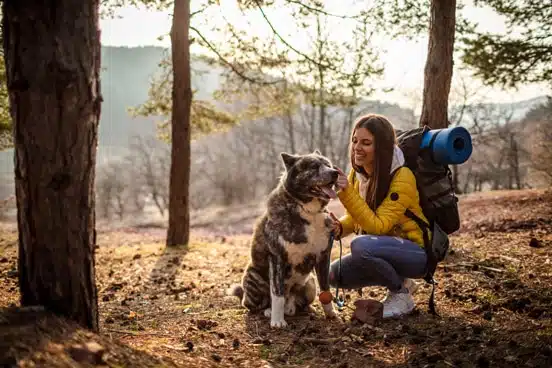 Wandern mit Hund