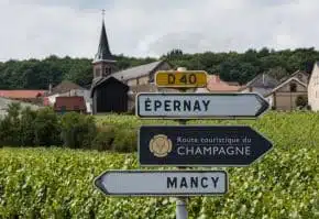 A signpost stands before a small French village with medieval architecture.