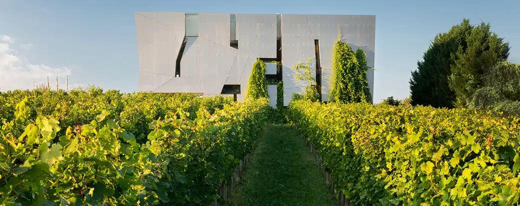 Weinwelt von außen