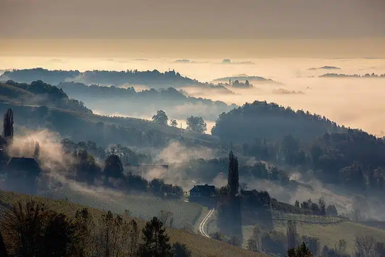 Bild zeigt Südsteiermark