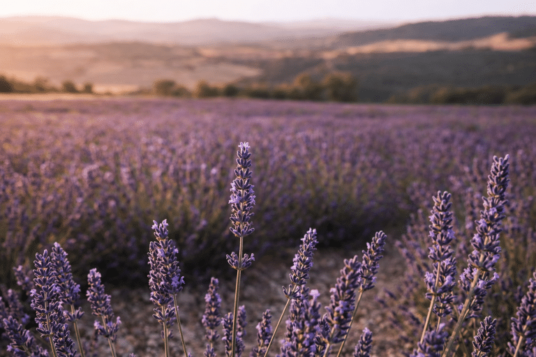 Chatgpt Image 11. März 2026, 15 54 47